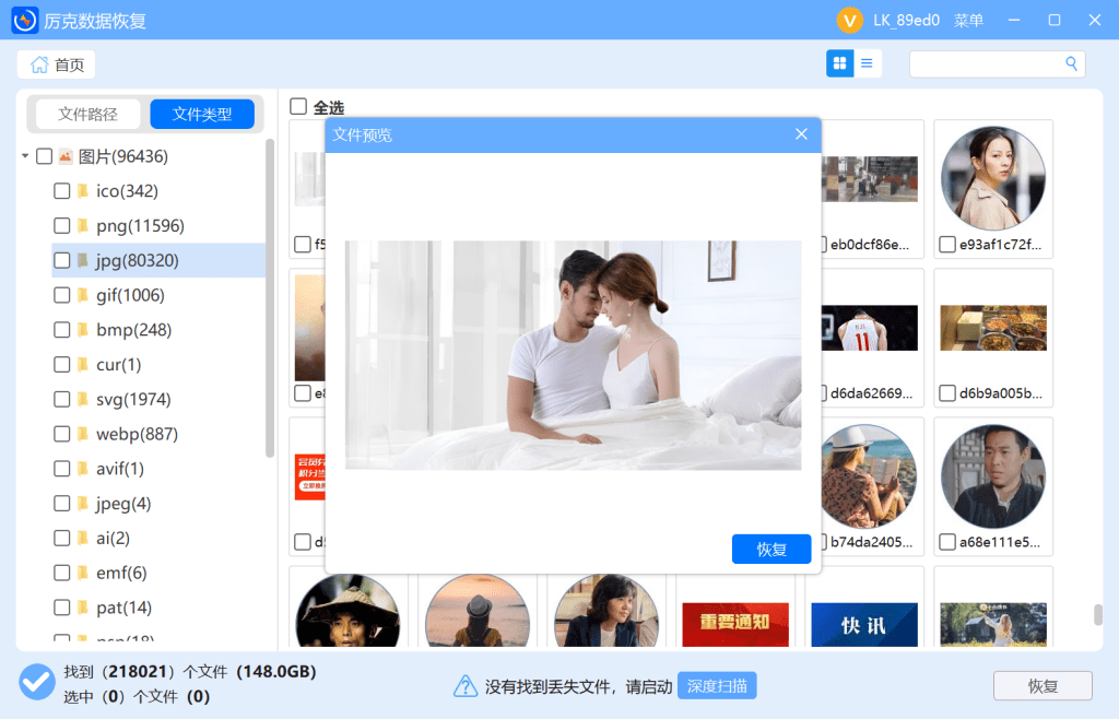leeck vip datarecovery preview file