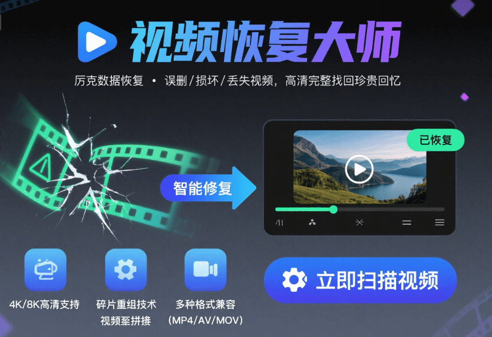 video recovery master