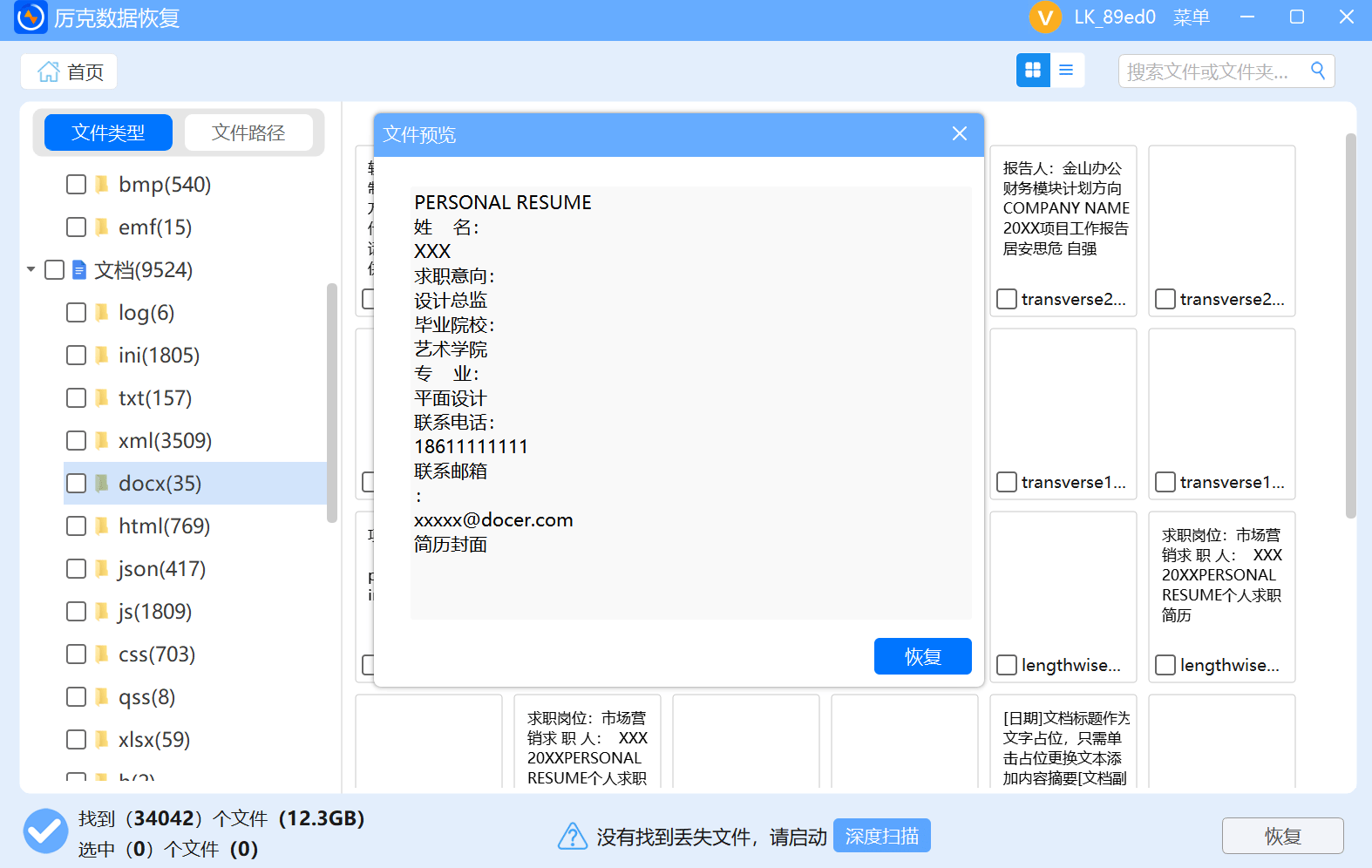 leeck vip datarecovery preview document